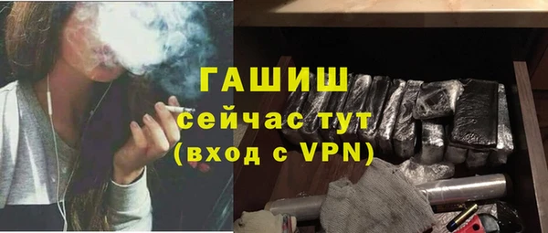 стаф Калининец
