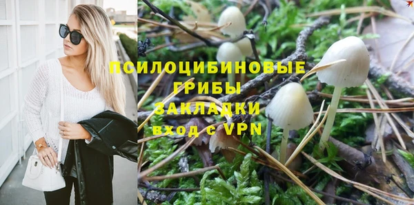 прущий лед Осташков