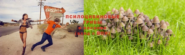дмт Осинники